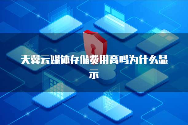 天翼云媒体存储费用高吗为什么显示