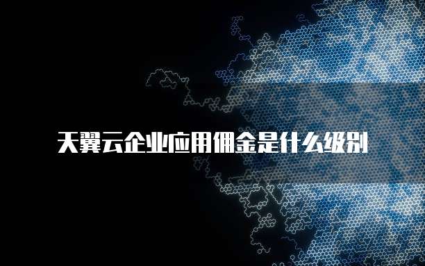 天翼云企业应用佣金是什么级别