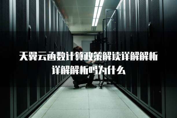 天翼云函数计算政策解读详解解析详解解析吗为什么