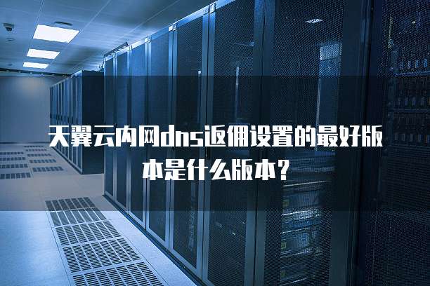 天翼云内网dns返佣设置的最好版本是什么版本？
