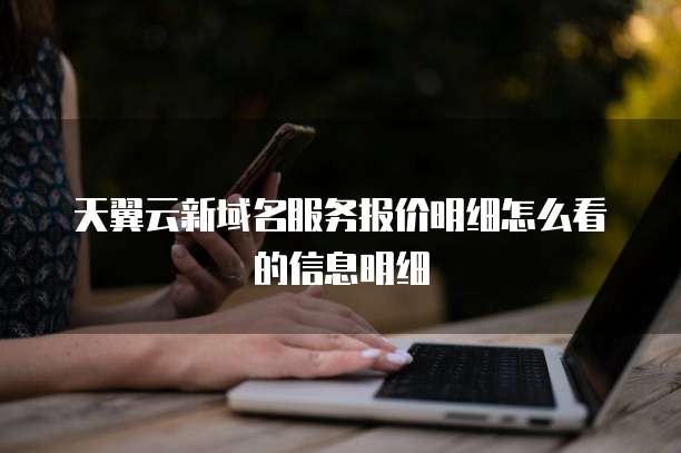 天翼云新域名服务报价明细怎么看的信息明细