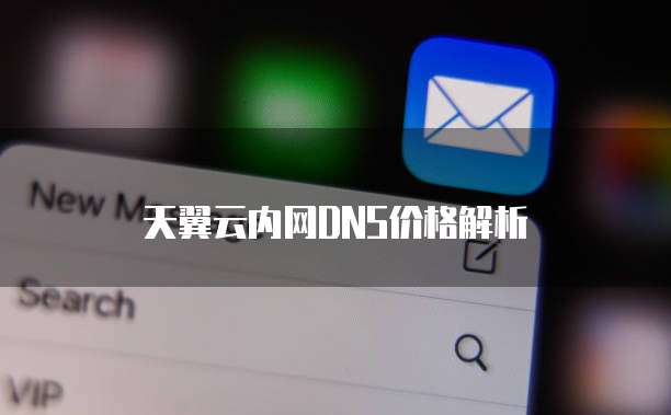天翼云内网DNS价格解析