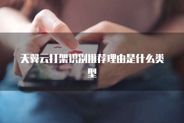 天翼云打架识别推荐理由是什么类型