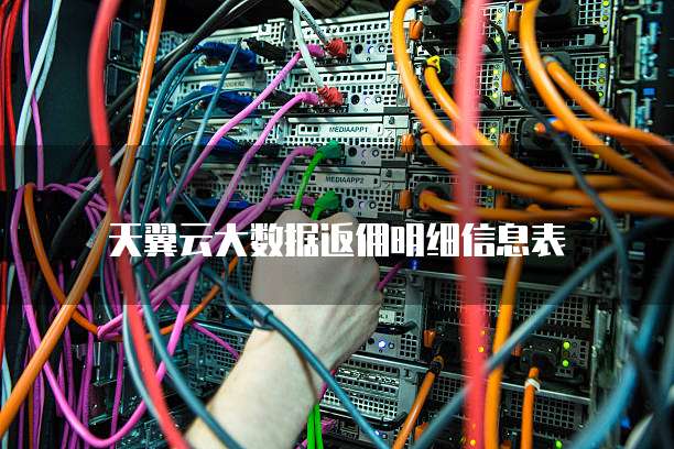 天翼云大数据返佣明细信息表