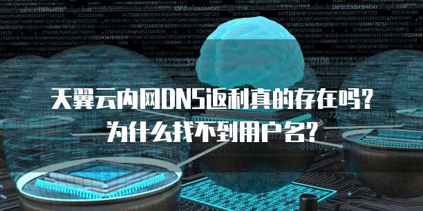 天翼云内网DNS返利真的存在吗?为什么找不到用户名?