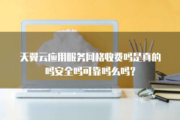 天翼云应用服务网格收费吗是真的吗安全吗可靠吗么吗?
