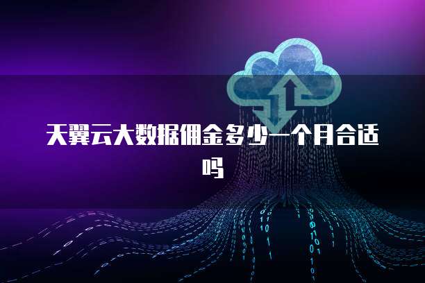 天翼云大数据佣金多少一个月合适吗