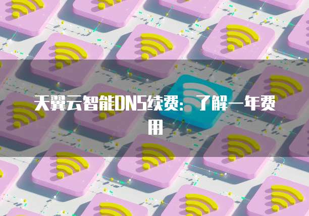 天翼云智能DNS续费：了解一年费用