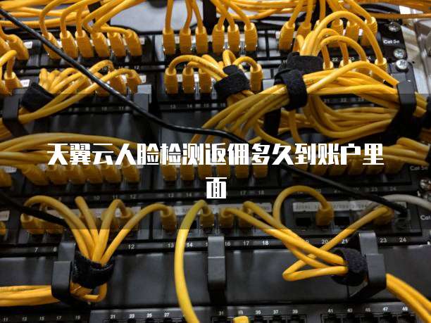 天翼云人脸检测返佣多久到账户里面