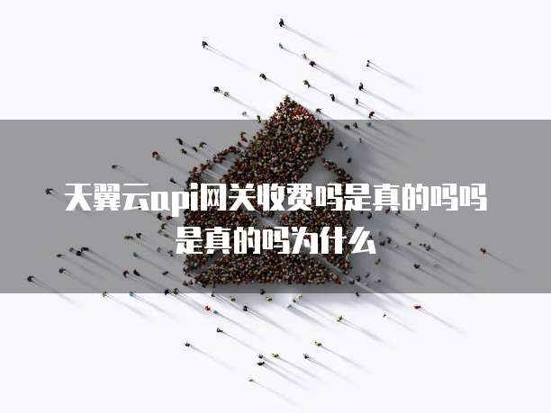 天翼云api网关收费吗是真的吗吗是真的吗为什么