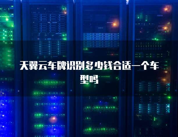 天翼云车牌识别多少钱合适一个车型吗