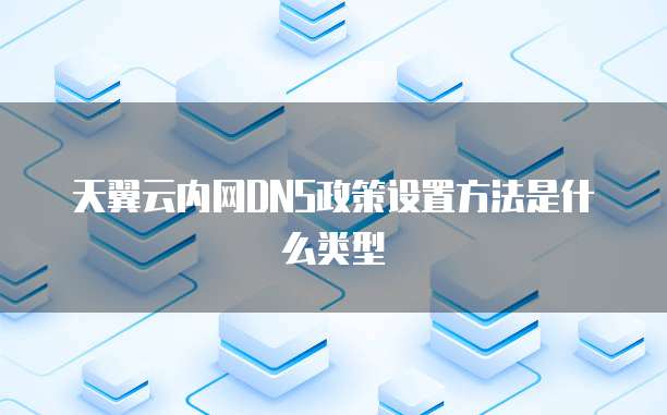 天翼云内网DNS政策设置方法是什么类型