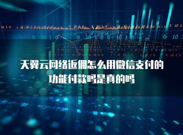 天翼云网络返佣怎么用微信支付的功能付款吗是真的吗