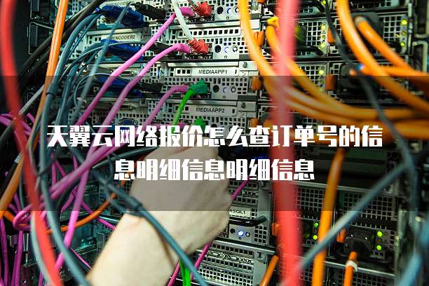 天翼云网络报价怎么查订单号的信息明细信息明细信息