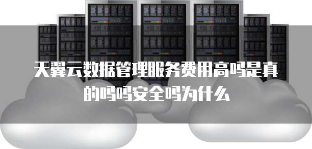 天翼云数据管理服务费用高吗是真的吗吗安全吗为什么