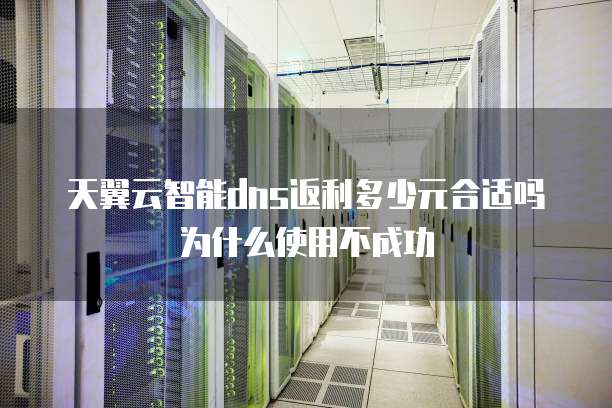 天翼云智能dns返利多少元合适吗为什么使用不成功