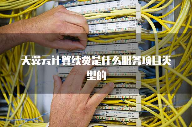 天翼云计算续费是什么服务项目类型的