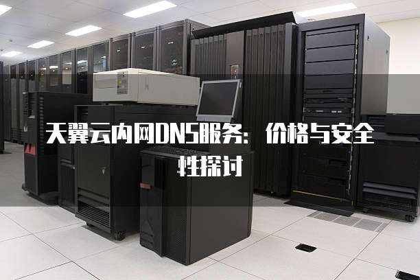 天翼云内网DNS服务:价格与安全性探讨