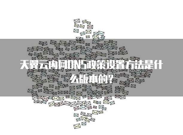 天翼云内网DNS政策设置方法是什么版本的?