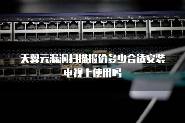 天翼云漏洞扫描报价多少合适安装电视上使用吗