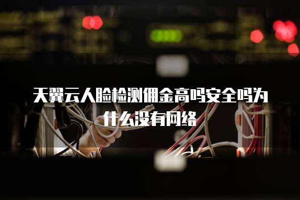 天翼云人脸检测佣金高吗安全吗为什么没有网络
