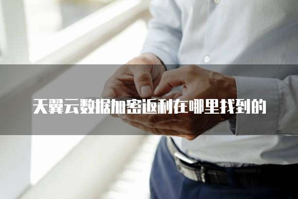 天翼云数据加密返利在哪里找到的