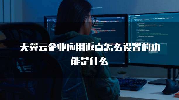 天翼云企业应用返点怎么设置的功能是什么
