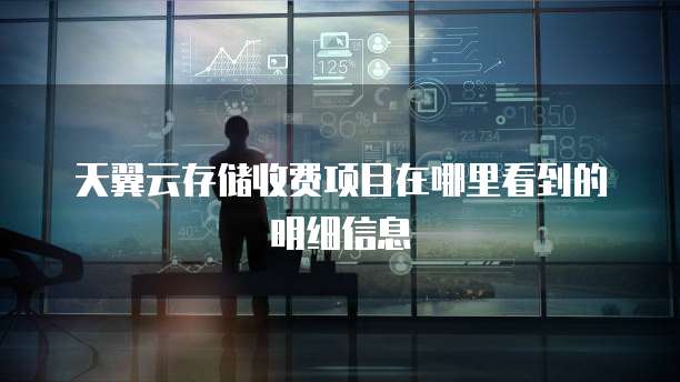 天翼云存储收费项目在哪里看到的明细信息