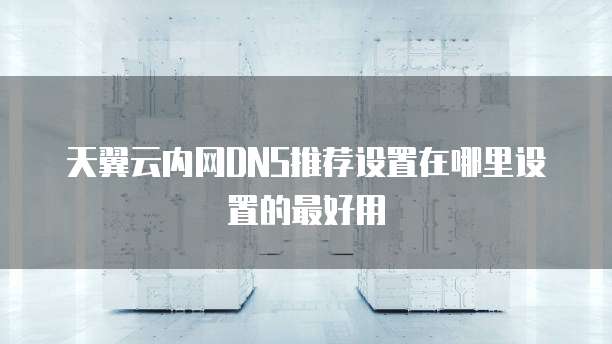 天翼云内网DNS推荐设置在哪里设置的最好用