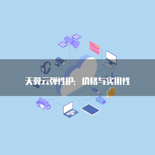 天翼云弹性IP:价格与实用性