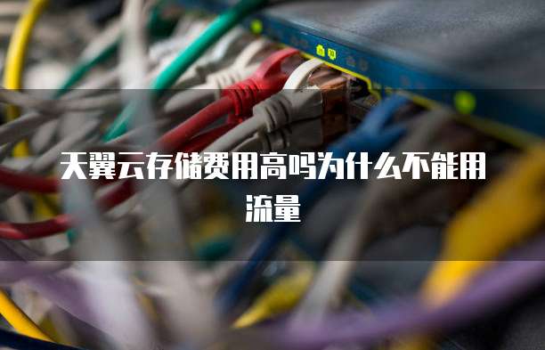 天翼云存储费用高吗为什么不能用流量