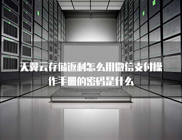 天翼云存储返利怎么用微信支付操作手册的密码是什么