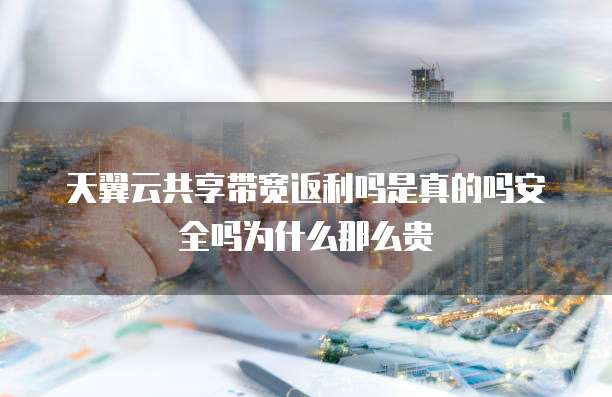 天翼云共享带宽返利吗是真的吗安全吗为什么那么贵