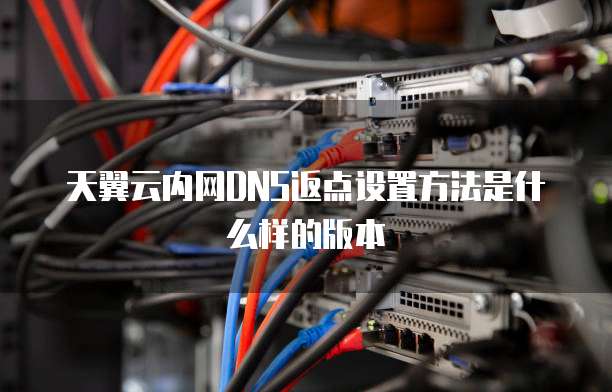 天翼云内网DNS返点设置方法是什么样的版本