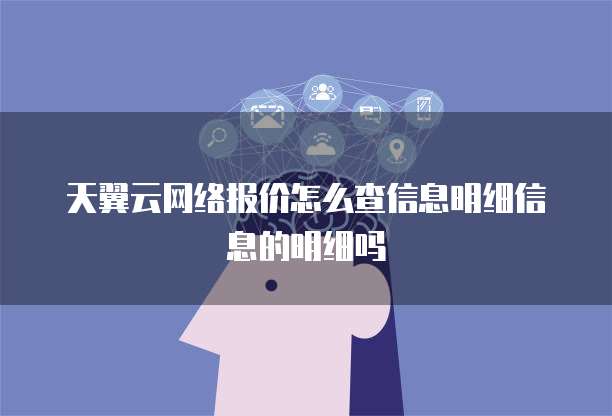 天翼云网络报价怎么查信息明细信息的明细吗