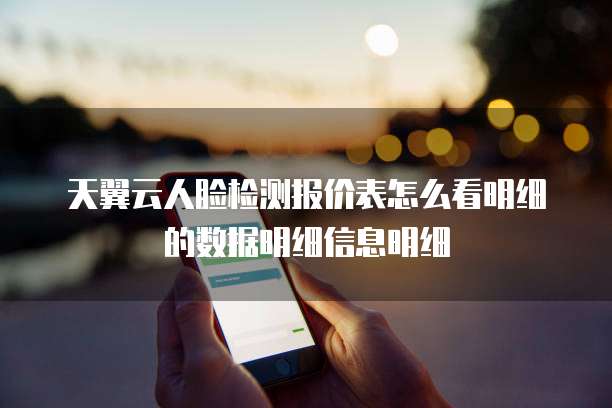天翼云人脸检测报价表怎么看明细的数据明细信息明细