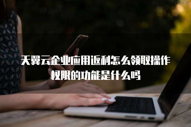 天翼云企业应用返利怎么领取操作权限的功能是什么吗