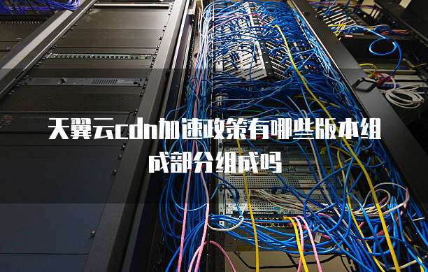 天翼云cdn加速政策有哪些版本组成部分组成吗
