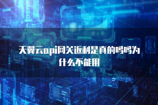 天翼云api网关返利是真的吗吗为什么不能用