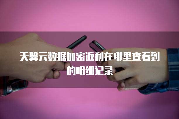 天翼云数据加密返利在哪里查看到的明细记录