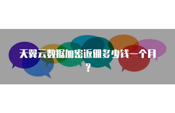 天翼云数据加密返佣多少钱一个月?