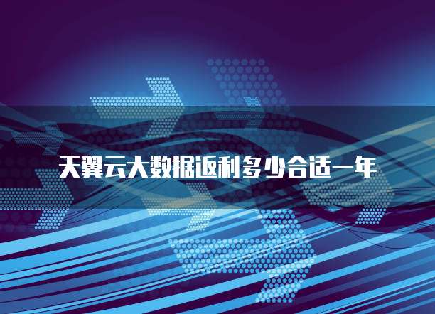 天翼云大数据返利多少合适一年