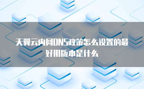 天翼云内网DNS政策怎么设置的最好用版本是什么