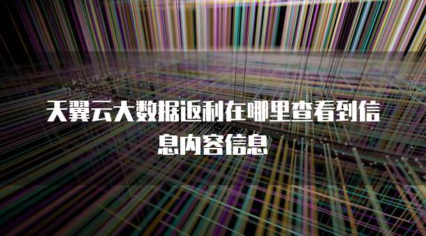 天翼云大数据返利在哪里查看到信息内容信息