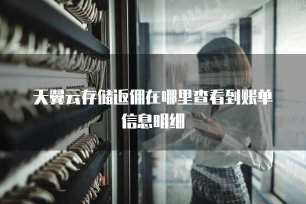 天翼云存储返佣在哪里查看到账单信息明细