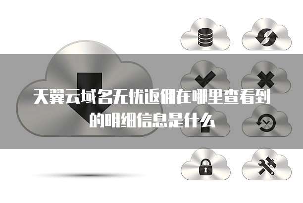 天翼云域名无忧返佣在哪里查看到的明细信息是什么