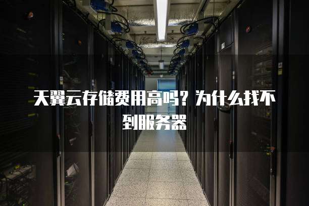天翼云存储费用高吗?为什么找不到服务器