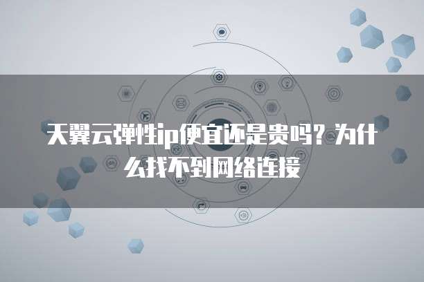 天翼云弹性ip便宜还是贵吗?为什么找不到网络连接