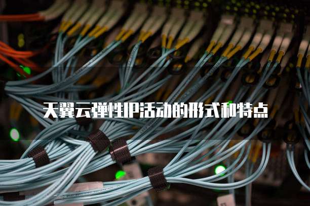 天翼云弹性IP活动的形式和特点