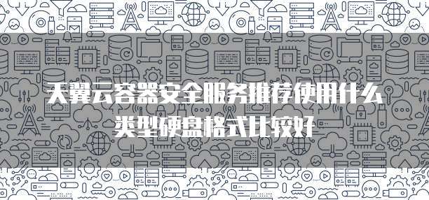 天翼云容器安全服务推荐使用什么类型硬盘格式比较好